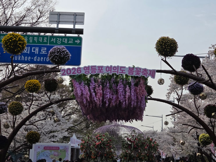  2026 여의도벚꽃축제 주차 꿀팁 & 아이와 함께하는 완벽 코스 (다둥이 할인 필수!)