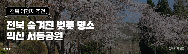 사진 5