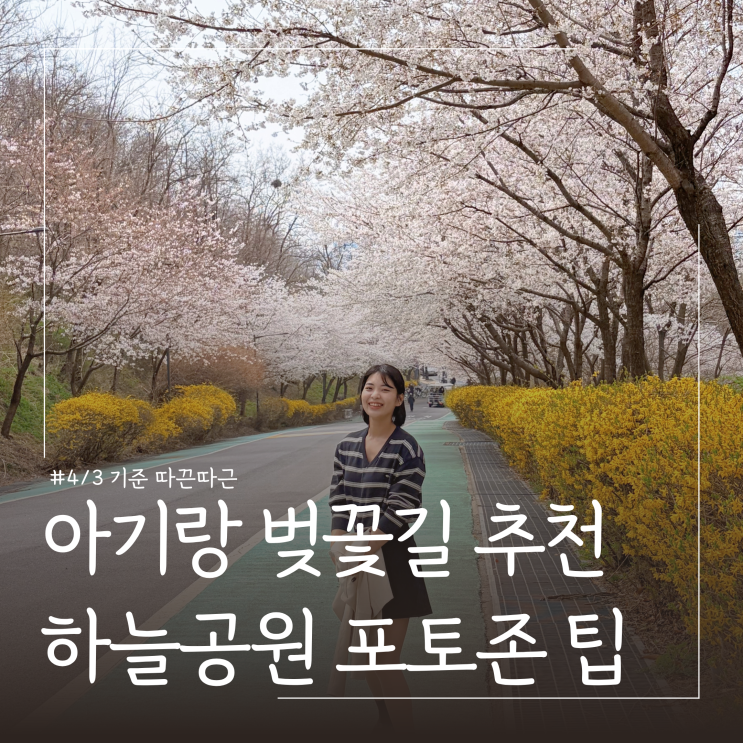  아기랑 벚꽃놀이 상암 하늘공원 주차 벚꽃길 추천(4/3기준)