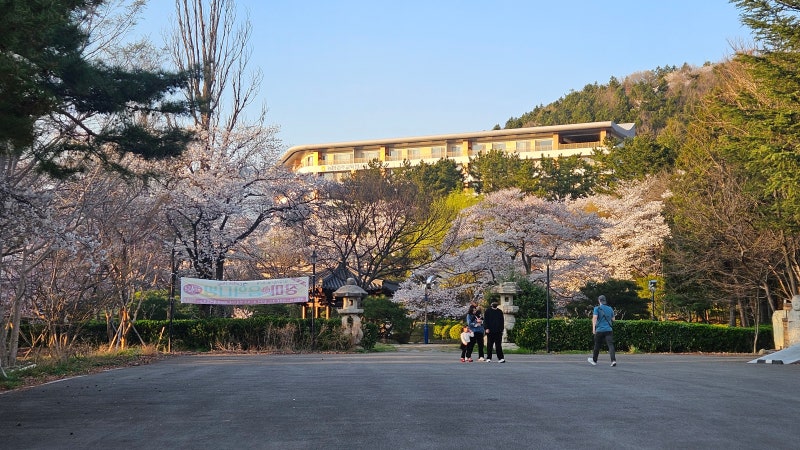 사진 3