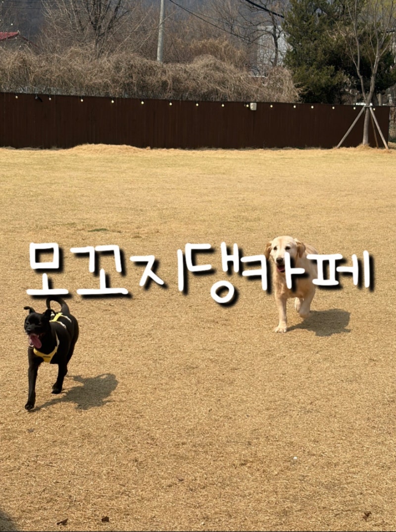 사진 2