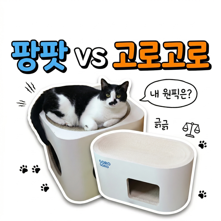  고양이 숨숨집 스크래쳐 비교하기 팡팟 VS 고로고로