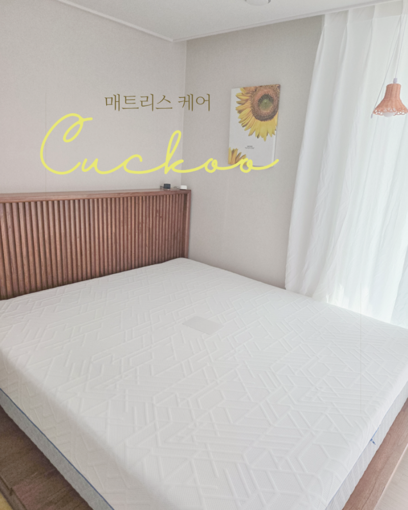 쿠쿠 매트리스케어 서비스 솔직후기｜집먼지진드기 제거부터 수면질 개선까지
