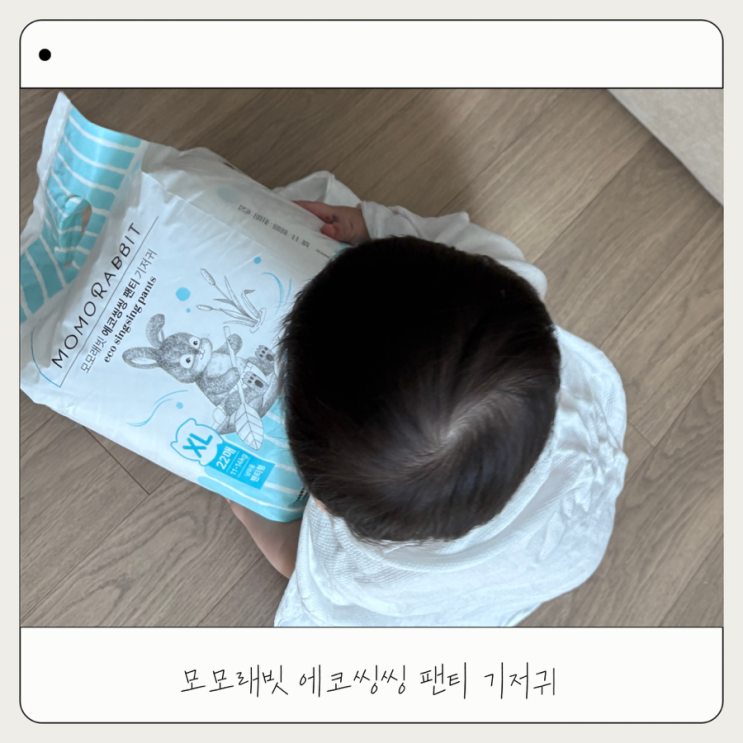  모모래빗 에코씽씽 여름기저귀 추천 | 활동량 많은 아이 기저귀