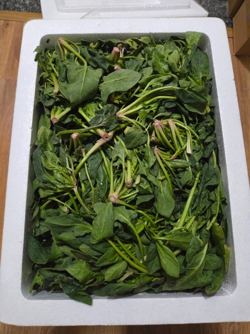 봄이 왔다, 시금치 된장국 한 그릇