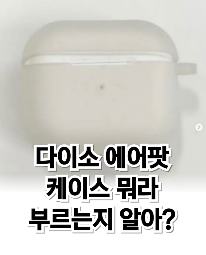  다이소 에어팟 케이스 뭐라 부르는지 알아?