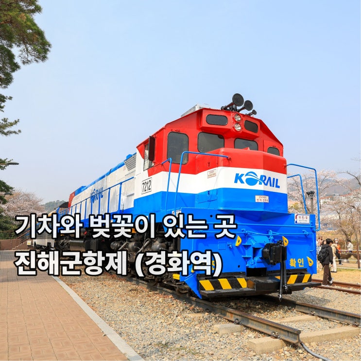  [진해] 기차와 벚꽃이 있는 곳 <경화역 진해군항제>