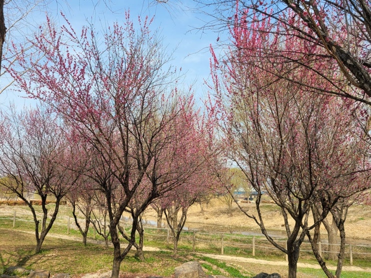  회식자리 상석 배치도 참고하세요