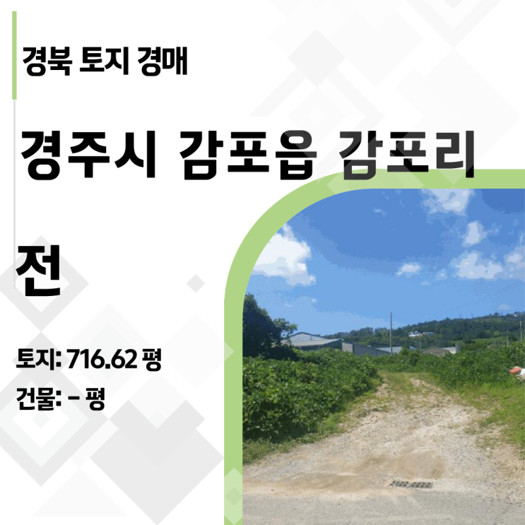  [경주 감포] 감정가 8억→4억 유찰, 제2종일반주거지역 716평의 파격 경매 기회 (2025타경10660)