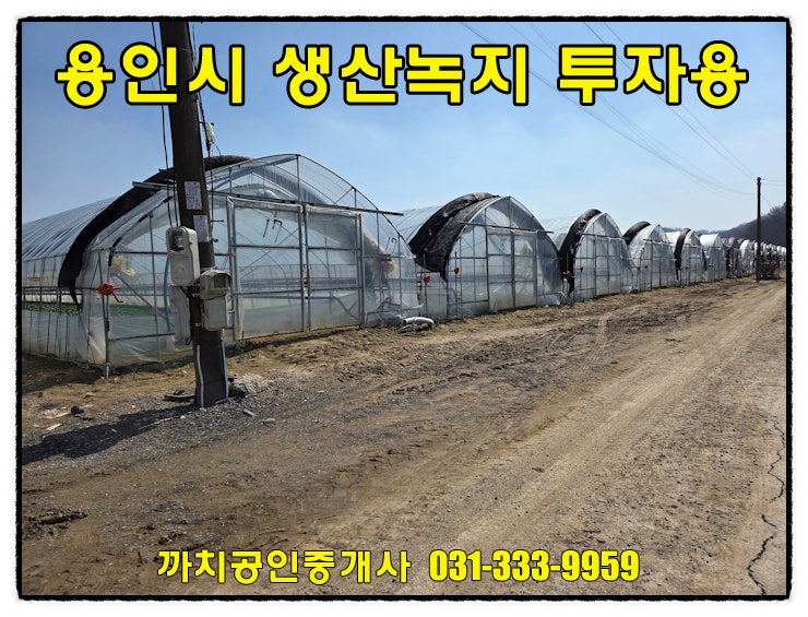  용인 처인구 모현읍 토지매매, 세종포천고속도로 인근 생산녹지 1,239평 투자및 주말농장추천