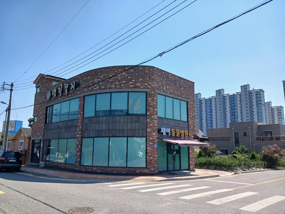 제이동물병원 사진 1