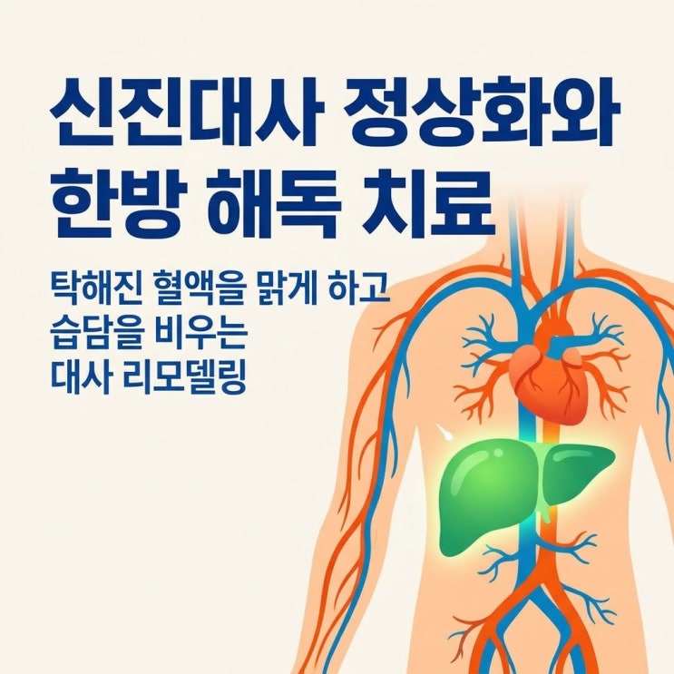  습담 증상과 원인, 만성피로 유발하는 지방간 고지혈증 감별 및 대사증후군 신진대사 정상화 한방 치료