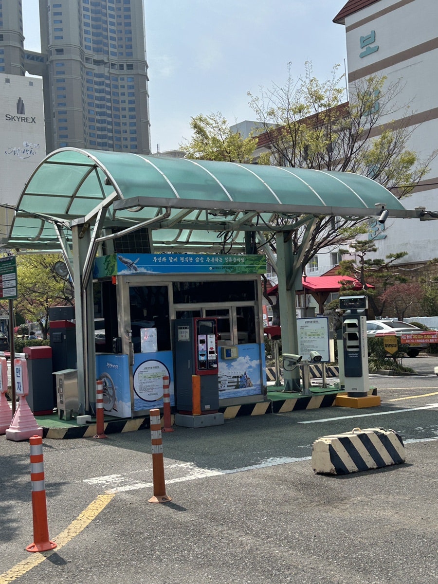 핑크코끼리 울산삼산점 사진 4