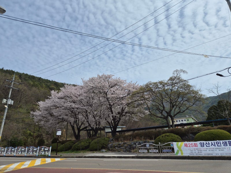 사진 7