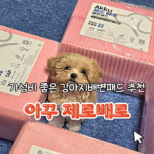 착한 가격과 선한 영향력을 이어가는 가성비 좋은 강아지 배변패드 [아꾸 제로배로] 솔직 사....