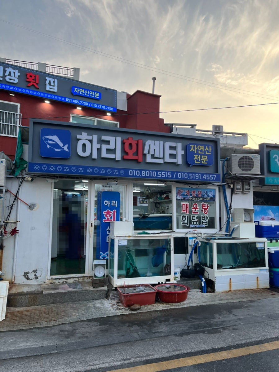 하리회센타 사진 3