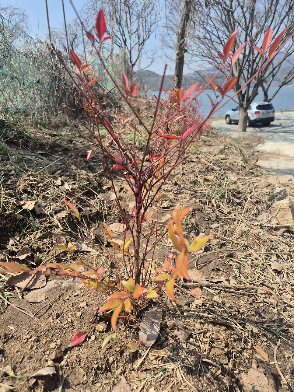 궁토피아 사진 2