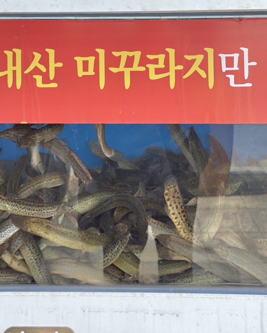 천추남원추어탕 사진 2