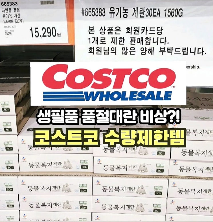  코스트코 추천템 4월 수량제한상품 생필품 품절 비상?