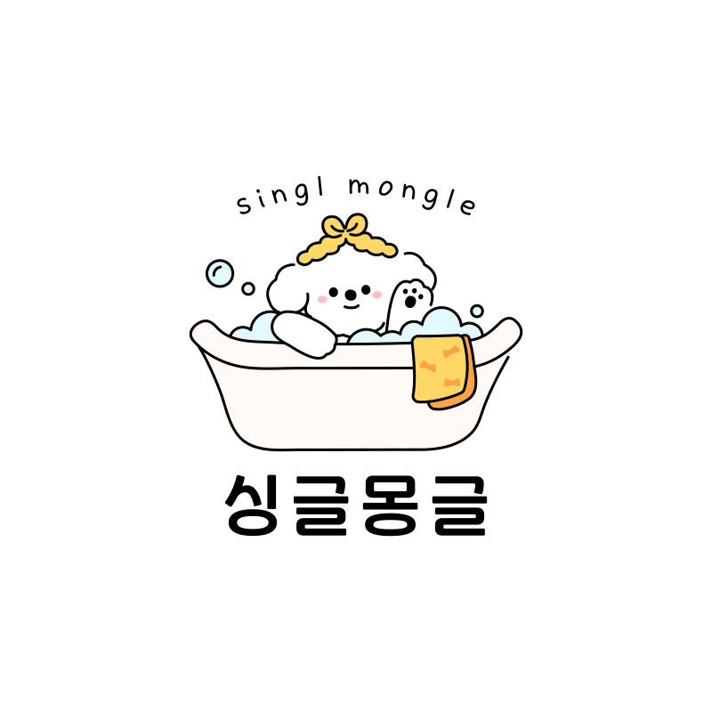 사진 6