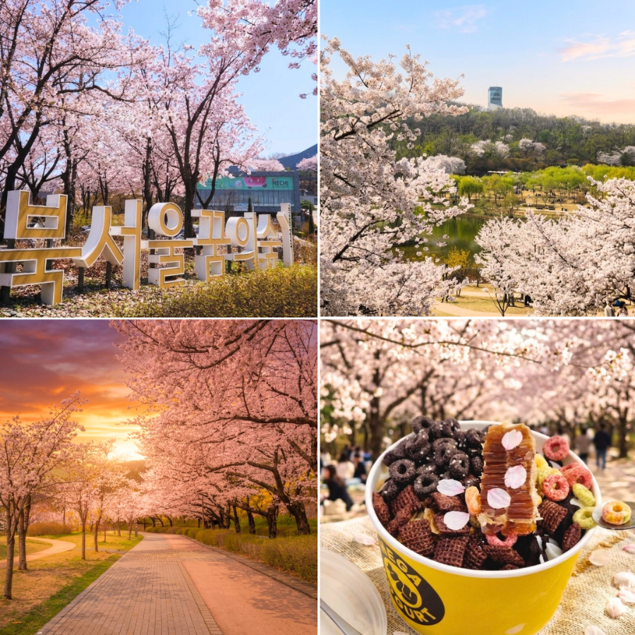 메가요거트 북서울꿈의숲점 사진 1