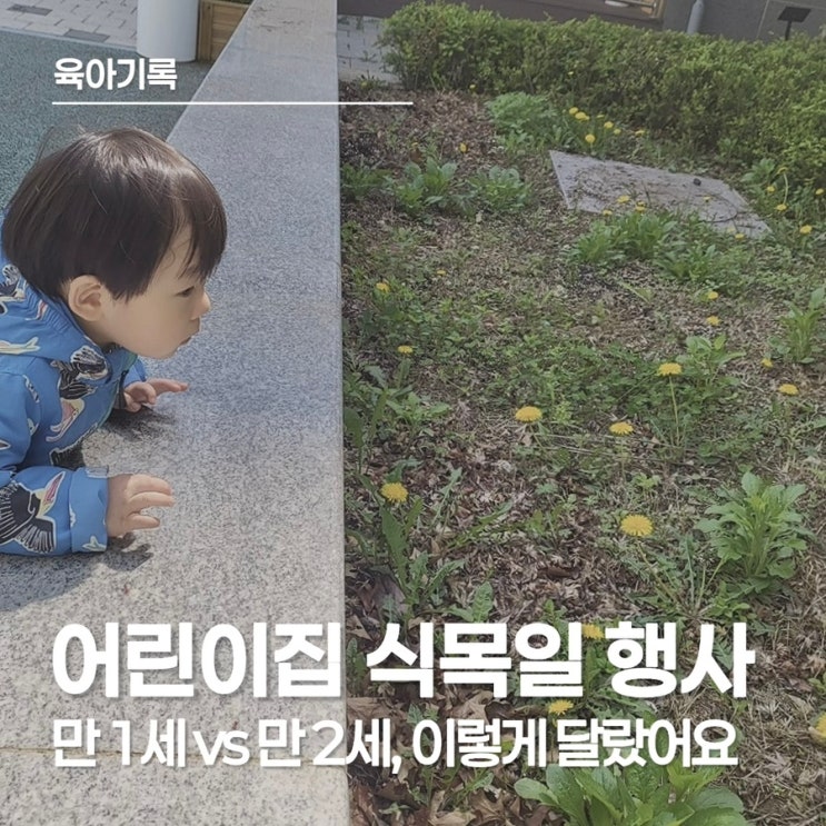  어린이집 식목일 행사, 2년간(만 1세/만 2세) 활동 추억하기
