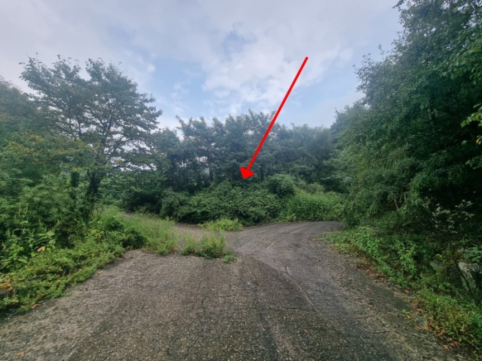  남양주 진접읍 금곡리 공장용지 매매 급매보다 싼 반값 경매 토지 1544평 수익형 2024타경82015