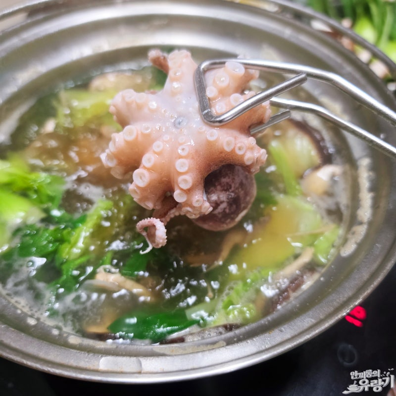 4월 제철해산물 쭈꾸미 시세 백합 곁들인 된장 육수 냉이 쭈꾸미 샤브샤브 만들기