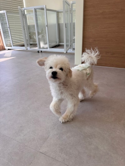 어글리멍