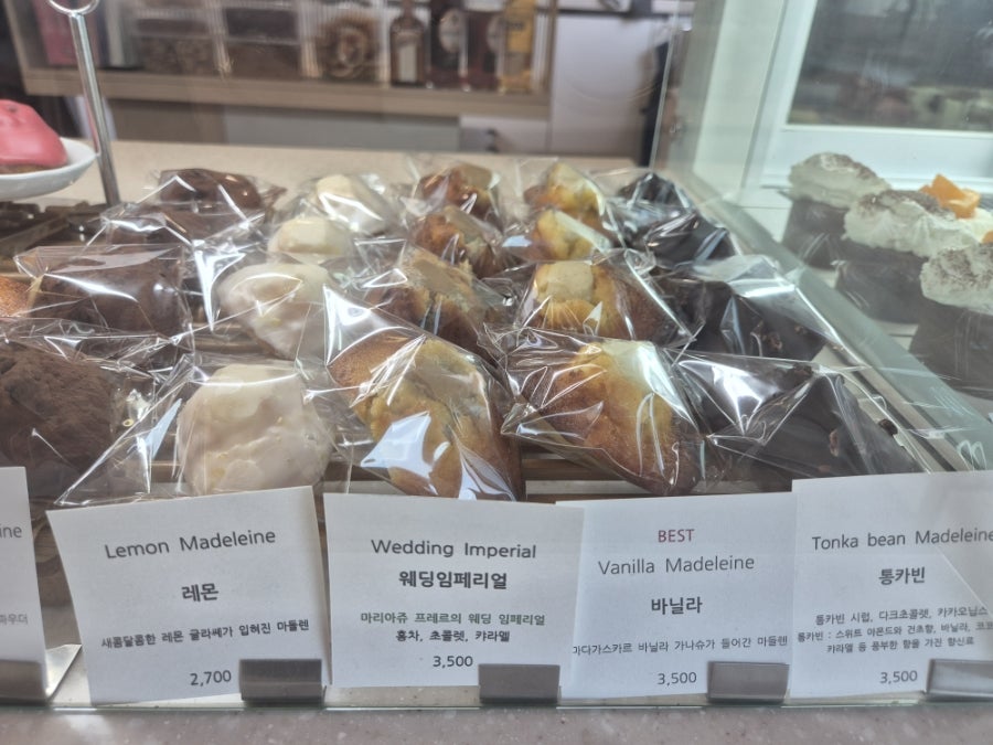 파르크 사진 6