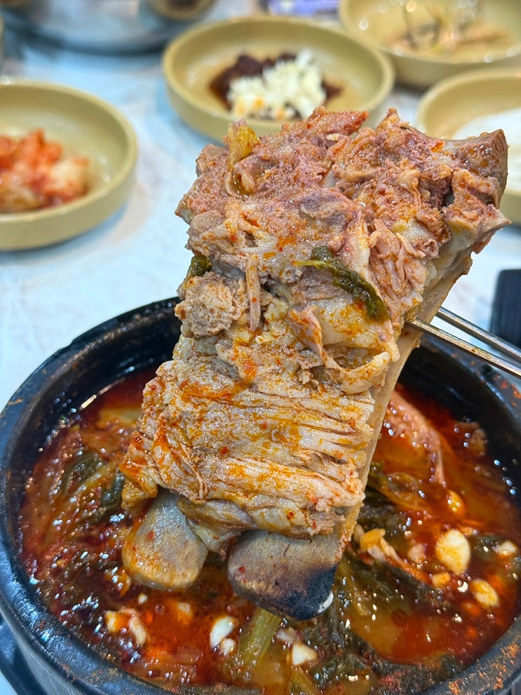 <b>대구 달성</b>공원 맛집 900번식당
