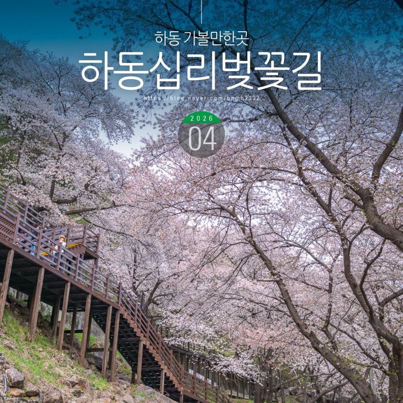 사진 4