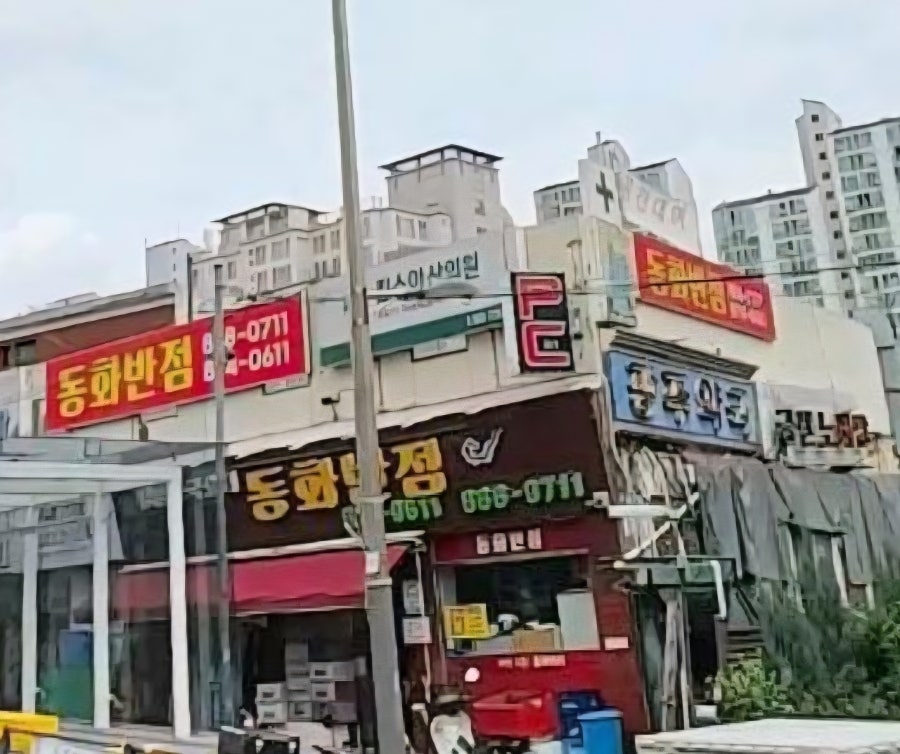 동화반점 사진 6