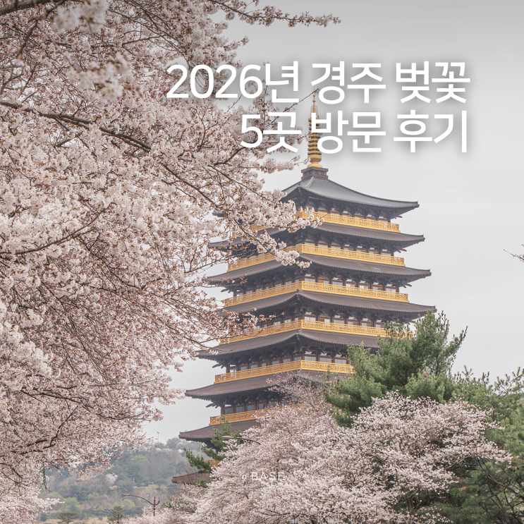  이번주 경주 벚꽃 나들이 BEST 5 대릉원돌담길 경주역사유적지구 불국사 황룡원 보문관광단지