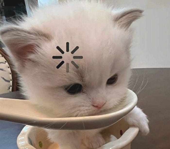 사진 3