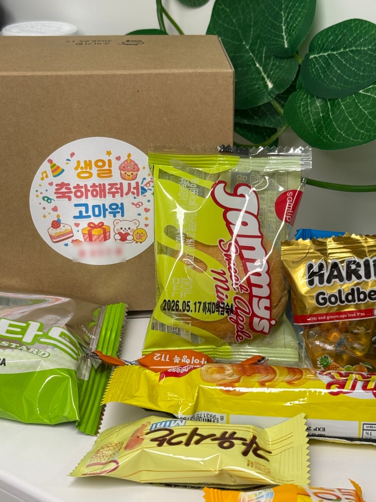  어린이집생일선물 고민 끝, 비비콩도도세트로 단체간식 답례 준비