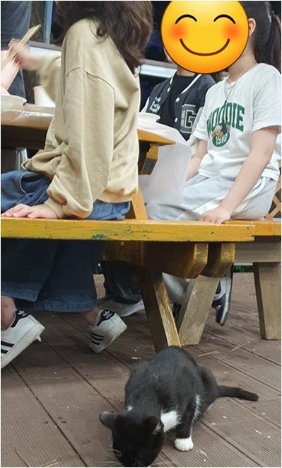 바닷길풍경펜션 사진 4
