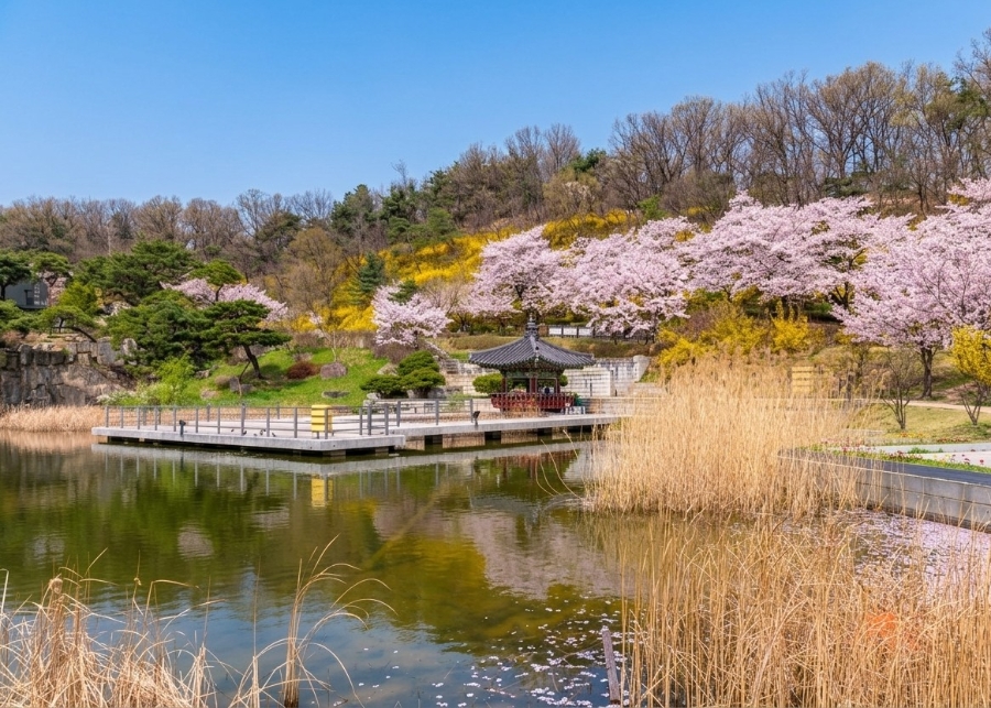 메가요거트 북서울꿈의숲점 사진 5