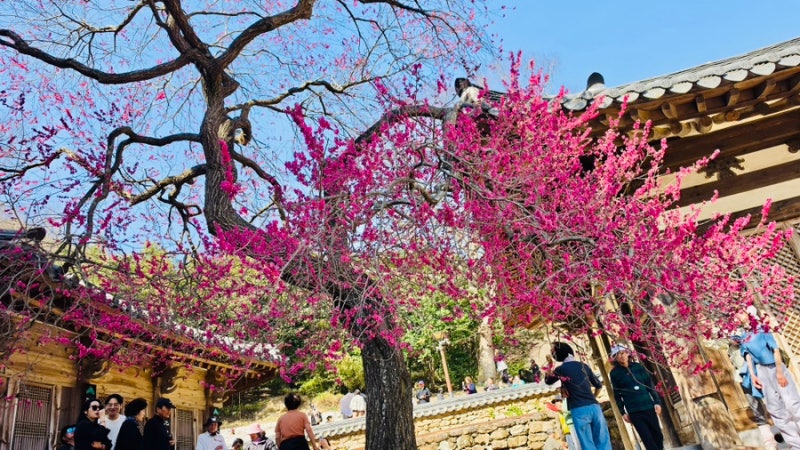 사진 8