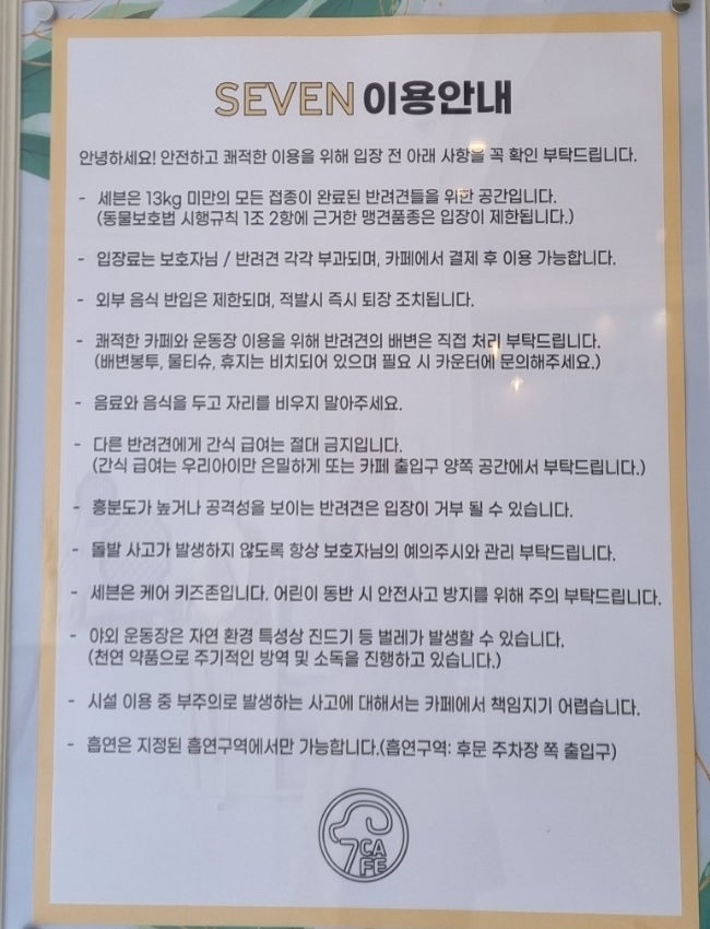 사진 6