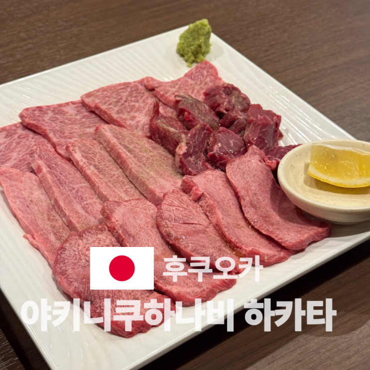  [후쿠오카] 야키니쿠하나비 하카타 본점 내돈내산 맛집 후기 (+ 예약하는 법)