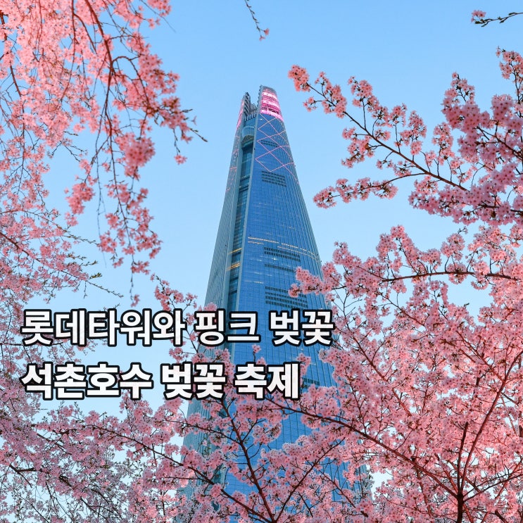  [잠실] 롯데타워 핑크 벚꽃 가득한 <석촌호수>