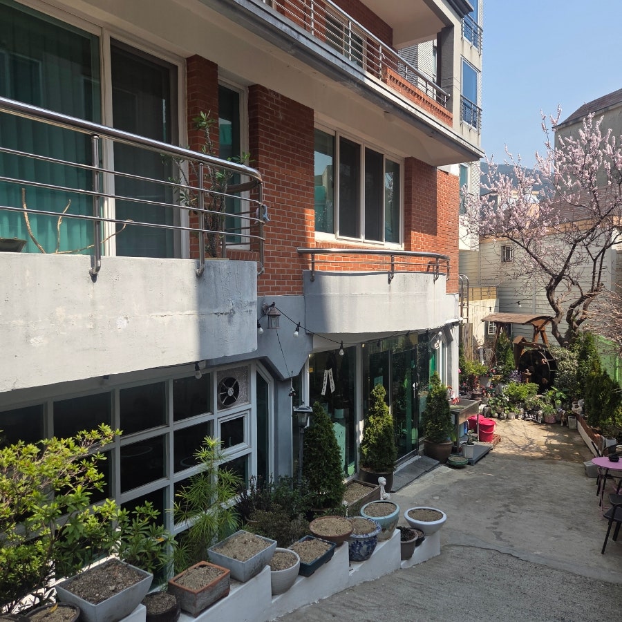 구덕영토 사진 2