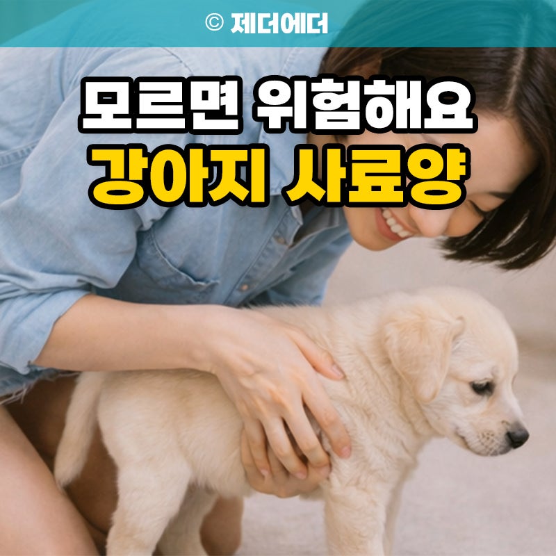 2개월 3개월 4개월 5개월 강아지 사료양 모르면 위험