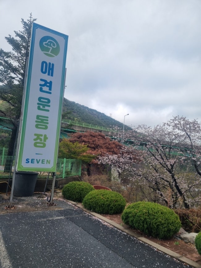 사진 5