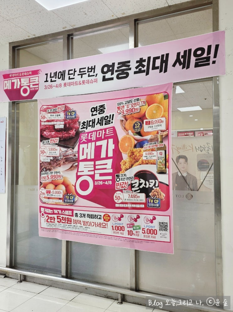  롯데마트 메가통큰 장보러가기