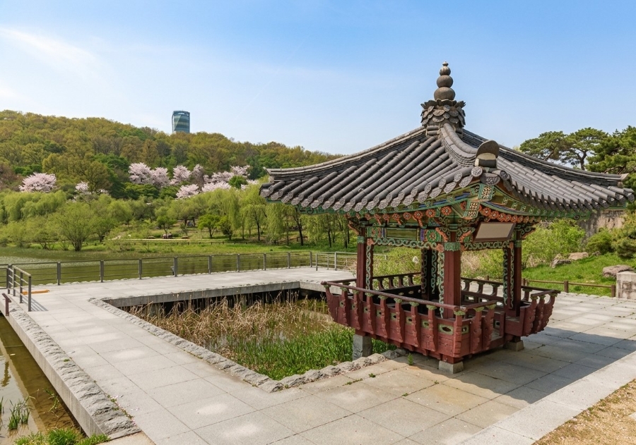 메가요거트 북서울꿈의숲점 사진 6