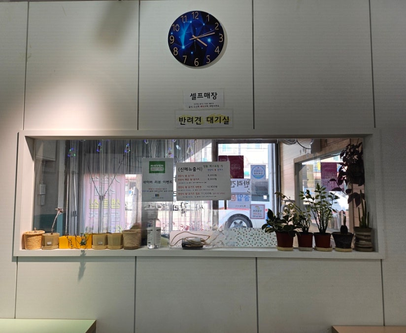 에바돈가츠 안산본오점 사진 5