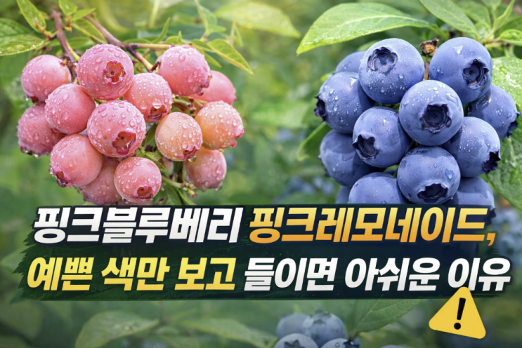  핑크블루베리 핑크레모네이드, 예쁜 색만 보고 들이면 아쉬운 이유