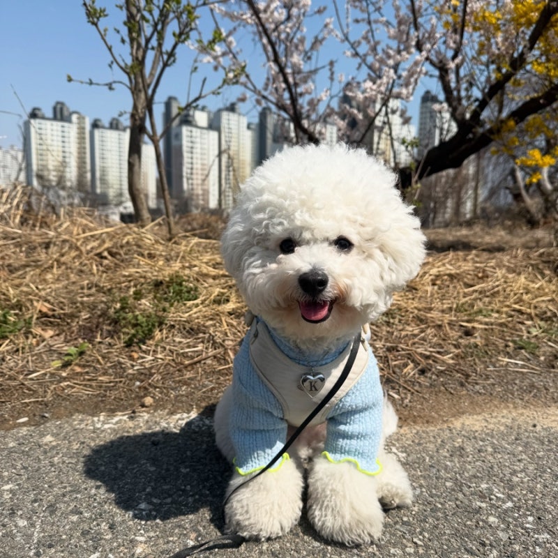 사진 7